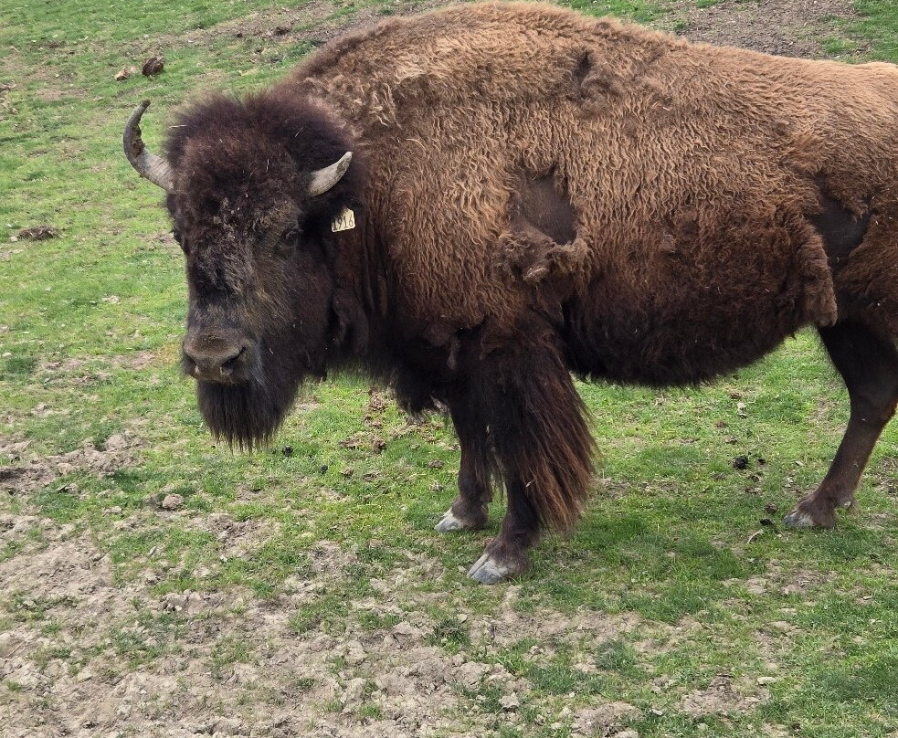 The Farm at Walnut Creek-Sugarcreek必去景点