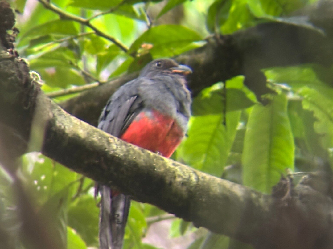 Ficus Tours-希门尼斯港必去景点