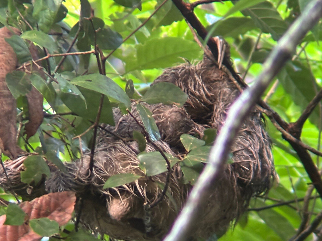 Ficus Tours-希门尼斯港必去景点