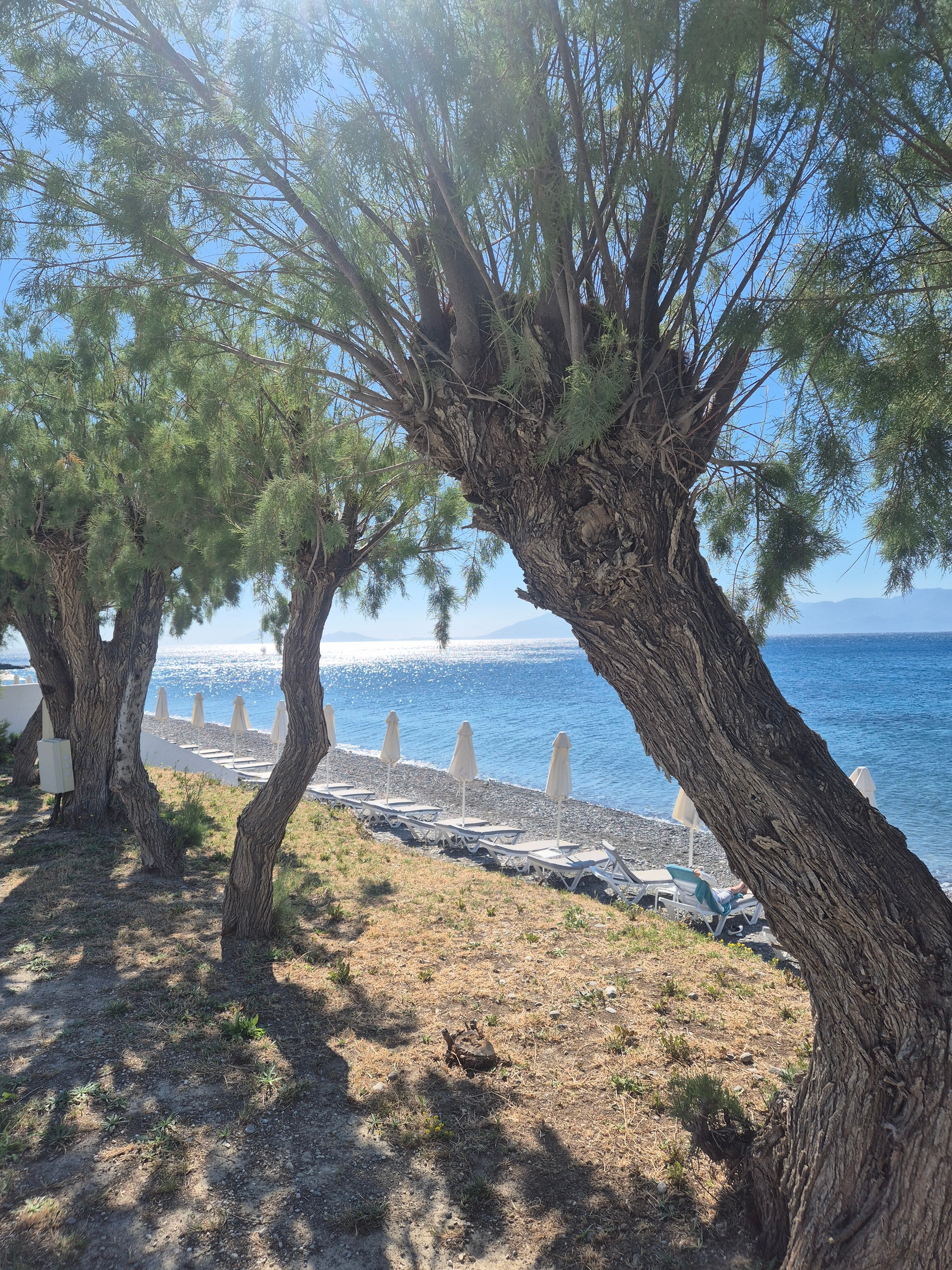 Dimitra Beach Hotel & Suites-浴室