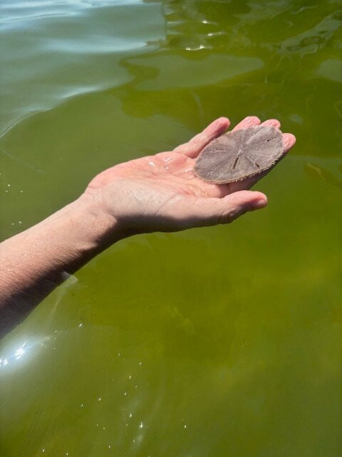 Tampa Bay Watch Discovery Center-圣彼德斯堡必去景点