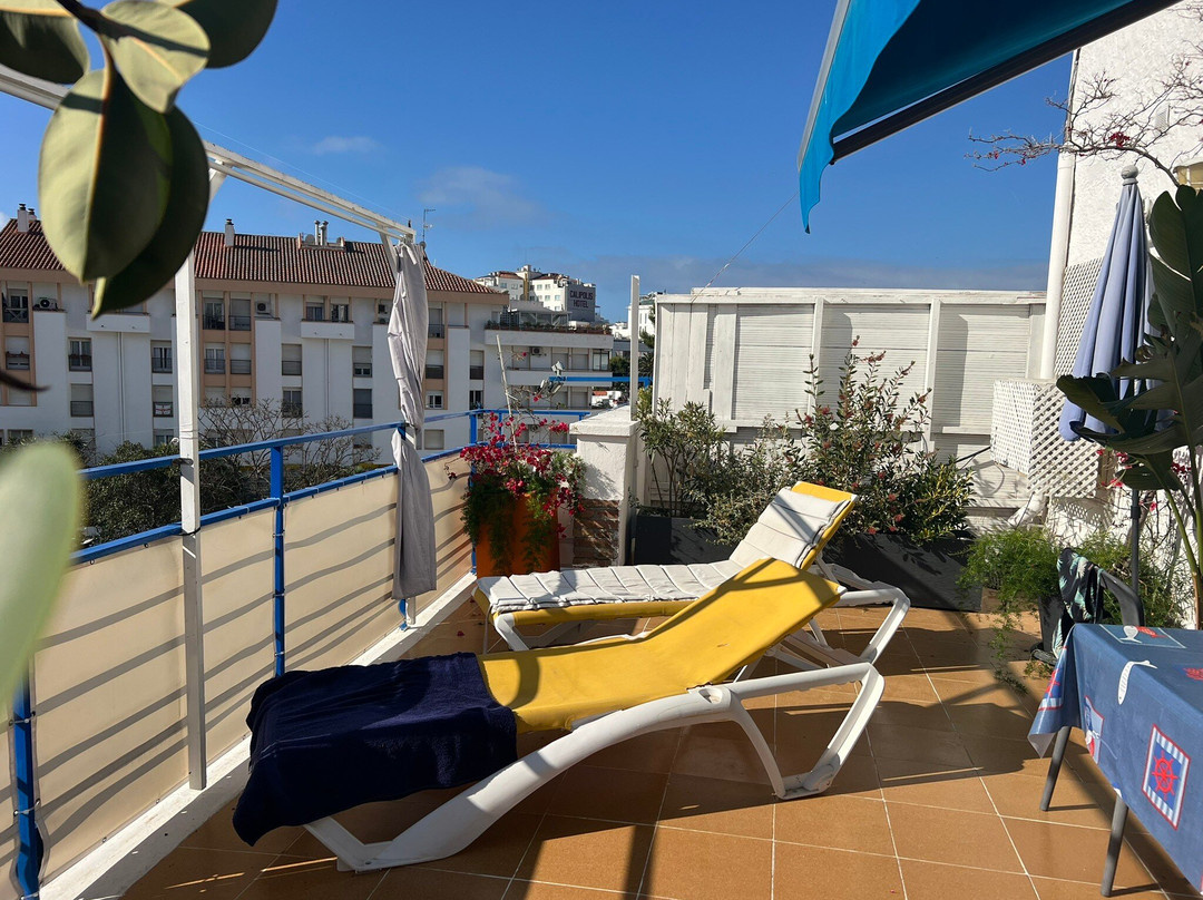 Hotel Alexandra主图