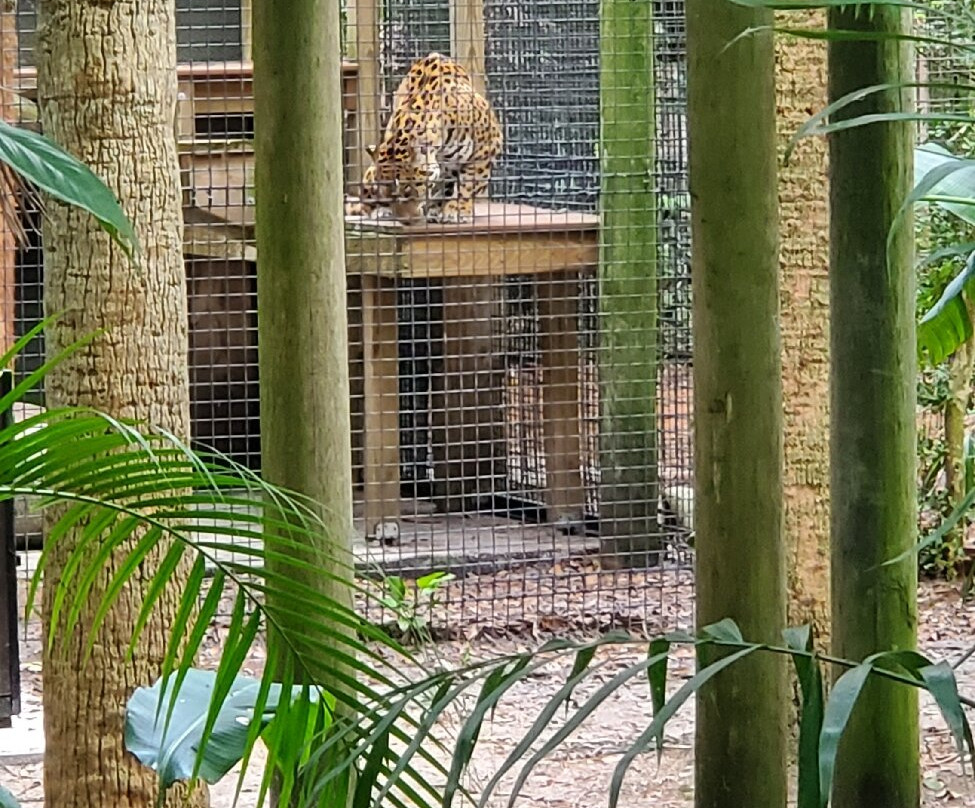 Brevard Zoo景点图片