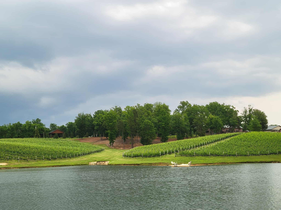 Tunnel Creek Vineyards景点图片