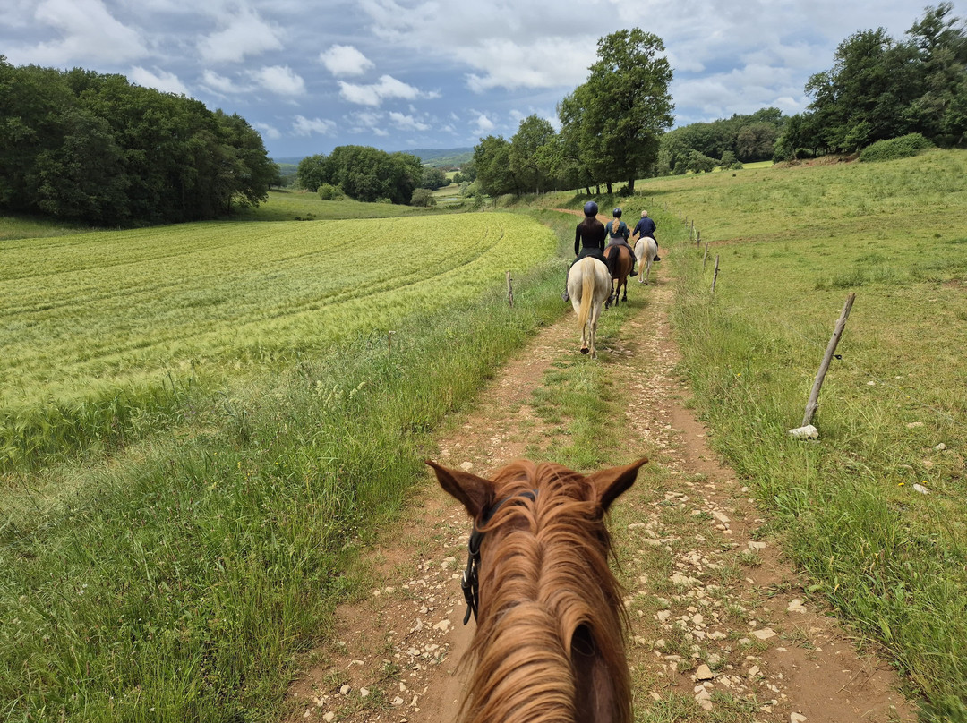 Centre Equestre Du Passe-Temps主图