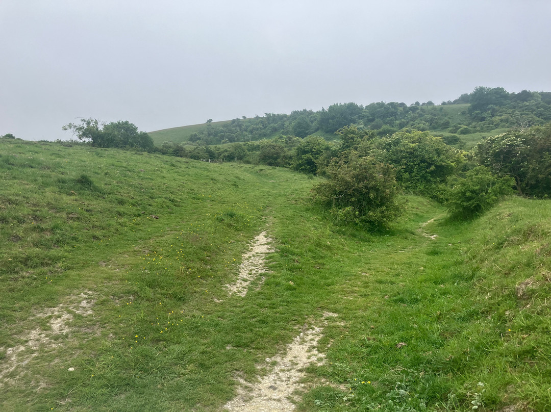 Malling Down Nature Reserve景点图片