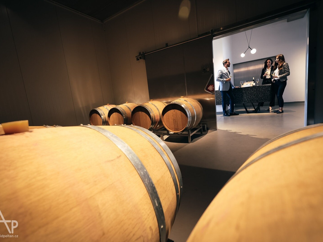 Gravitační vinařství Vilavin-Brezi必去景点