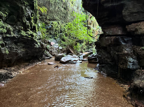 Conexão Cerrado - Turismo e Preservação-Palmas必去景点
