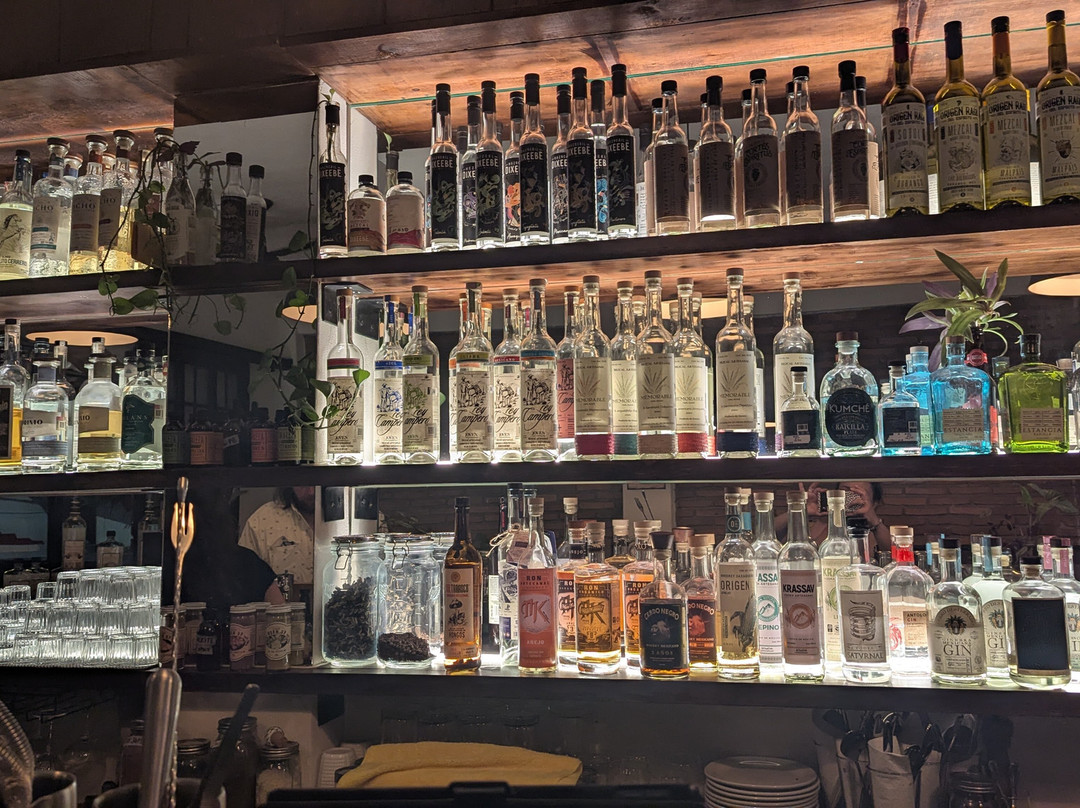 Puro Burro-瓦拉塔港必去景点