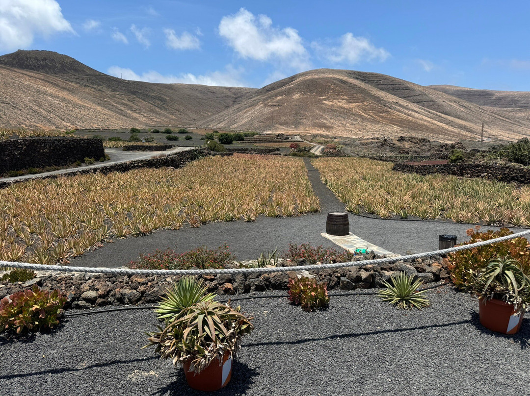 Lanzaloe-兰萨罗特必去景点