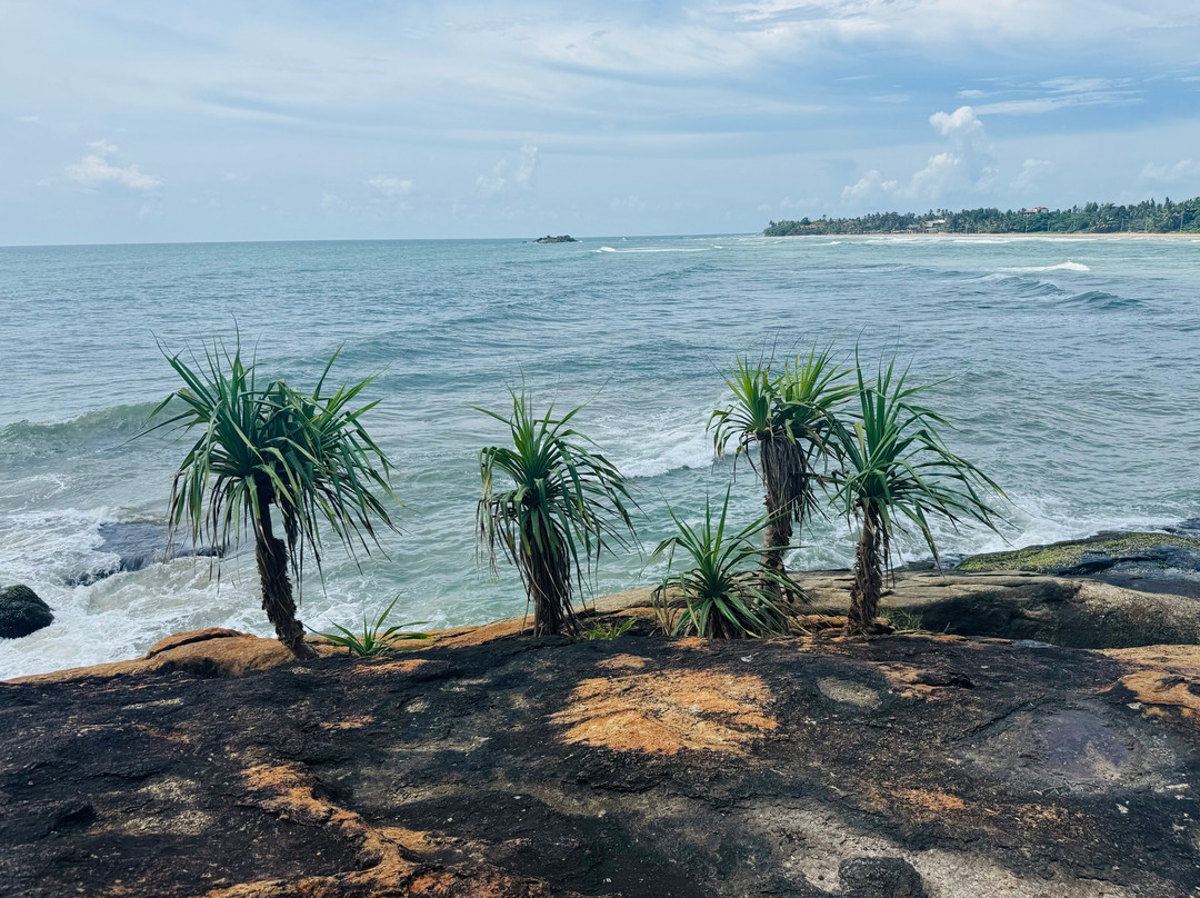 Sri Lanka Holiday Homes And Tours-希克杜沃必去景点