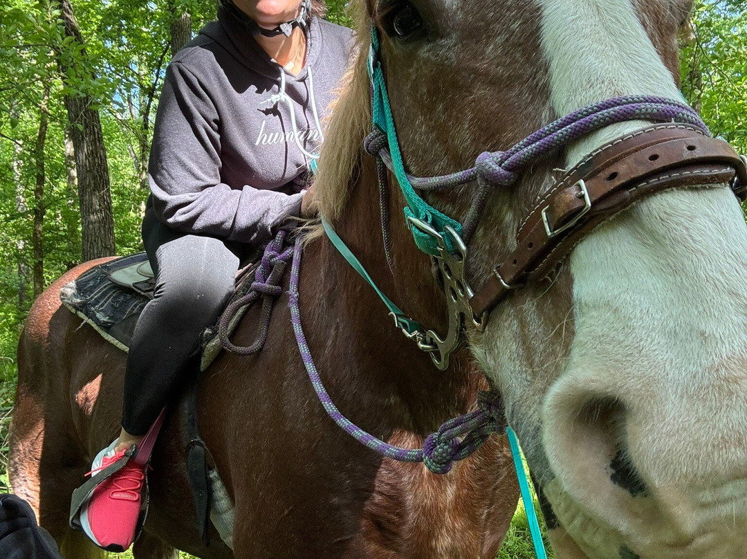 Red Fern Riding Center-Simpsonville必去景点