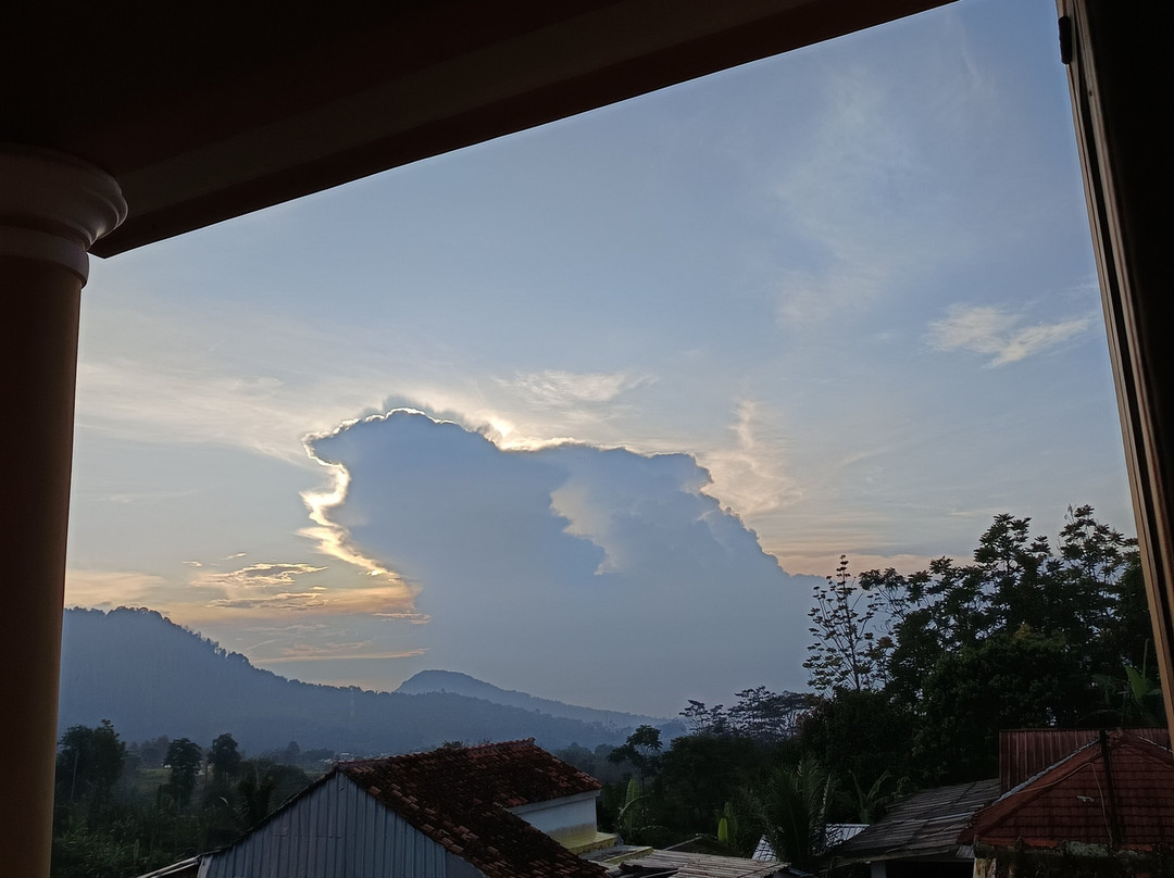 Wildan Homestay主图