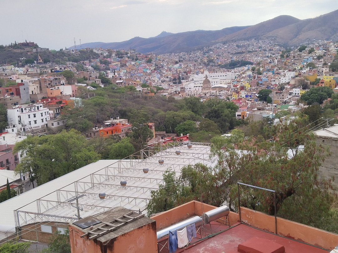 Hotel 1988 Guanajuato主图