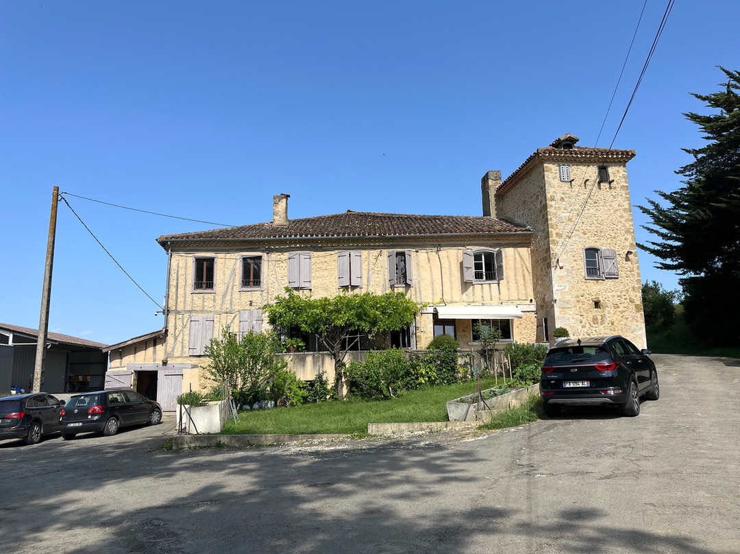 Domaine de La Higuere景点图片