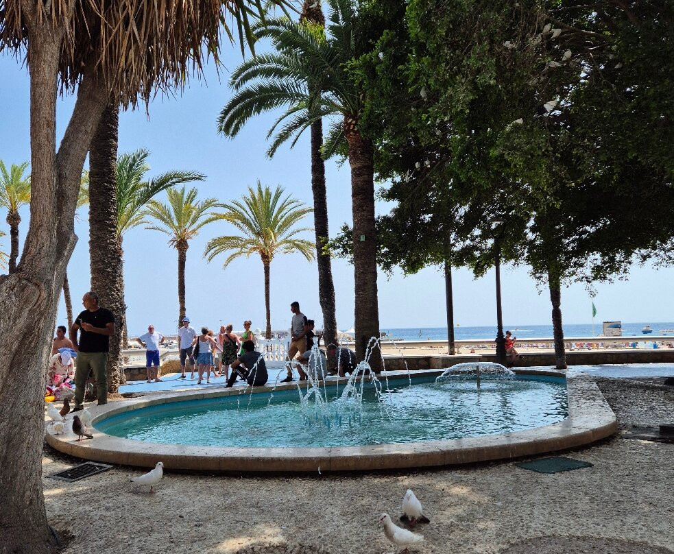 Parc d'Elx-贝尼多姆必去景点