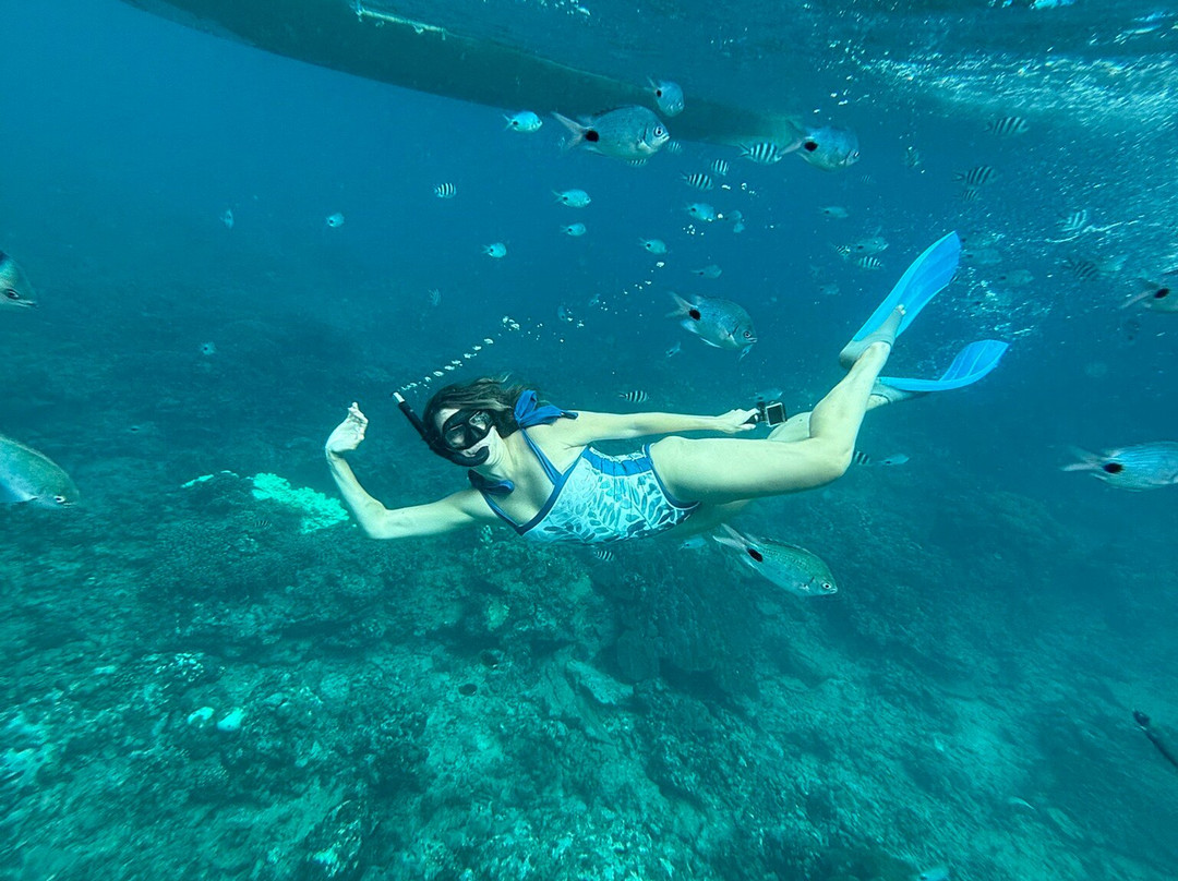 Whales Watching & Swimming With Dolphins In Mauritius-塔玛琳必去景点