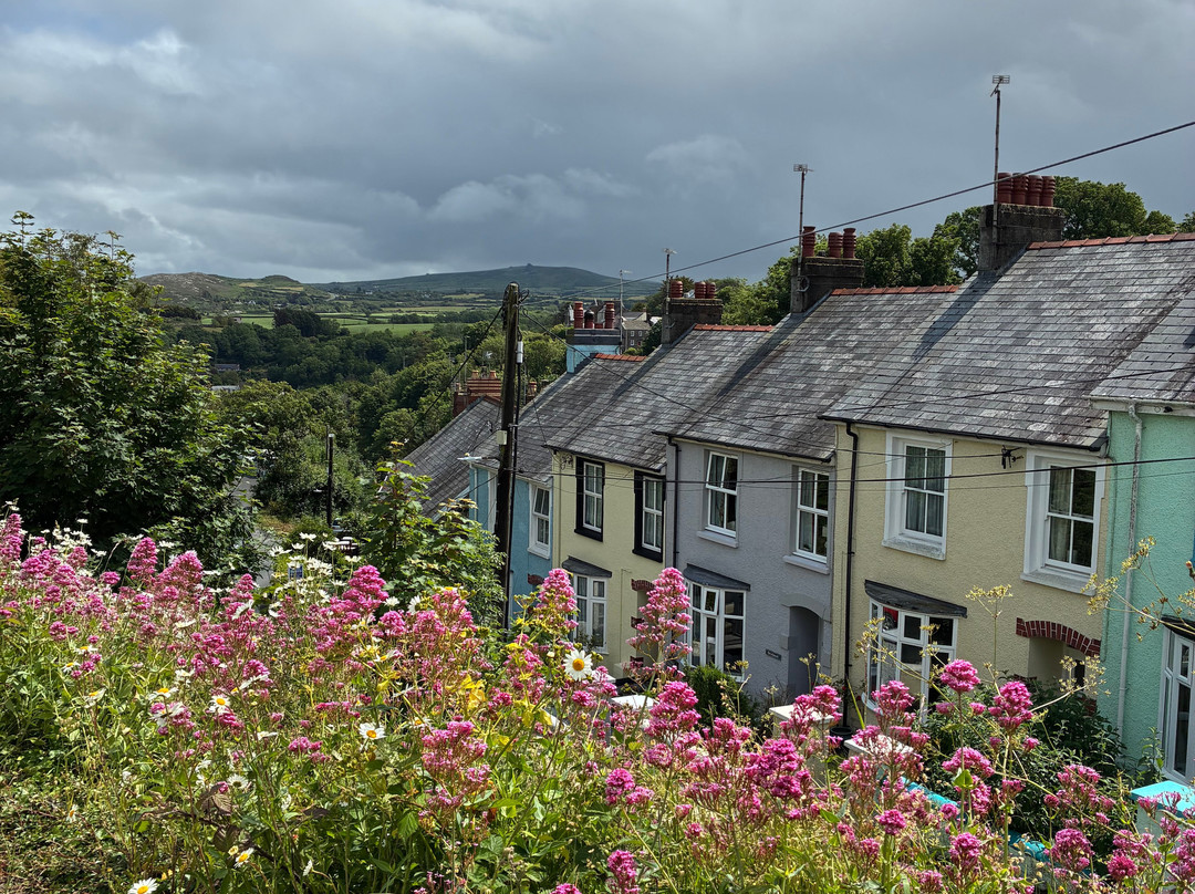 Fishguard Lower Town Harbour-Fishguard必去景点