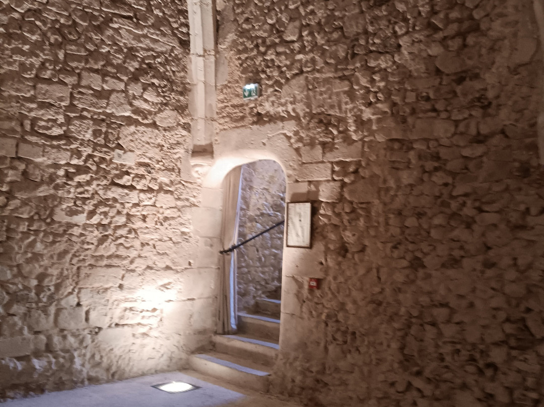 Chateau de Montmirail景点图片