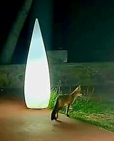 Hotel Restaurant Mas Palou主图