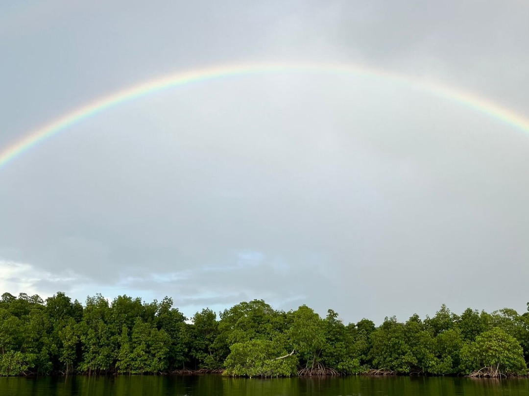 Yalodé Kayak Canyon Bain De Forêt-瓜德罗普岛必去景点