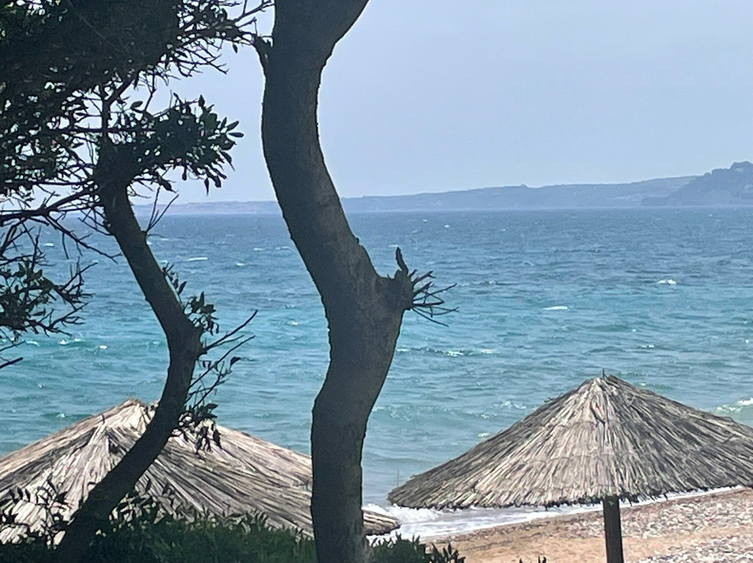 Caribbean Beach bar-Chrani必去景点