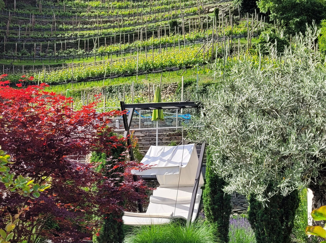 Panorama Hotel Himmelreich主图