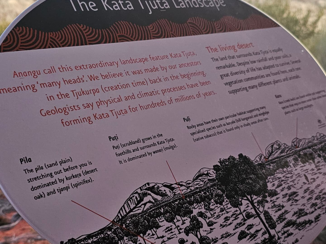 Kata-Tjuta Dunes Viewing Area