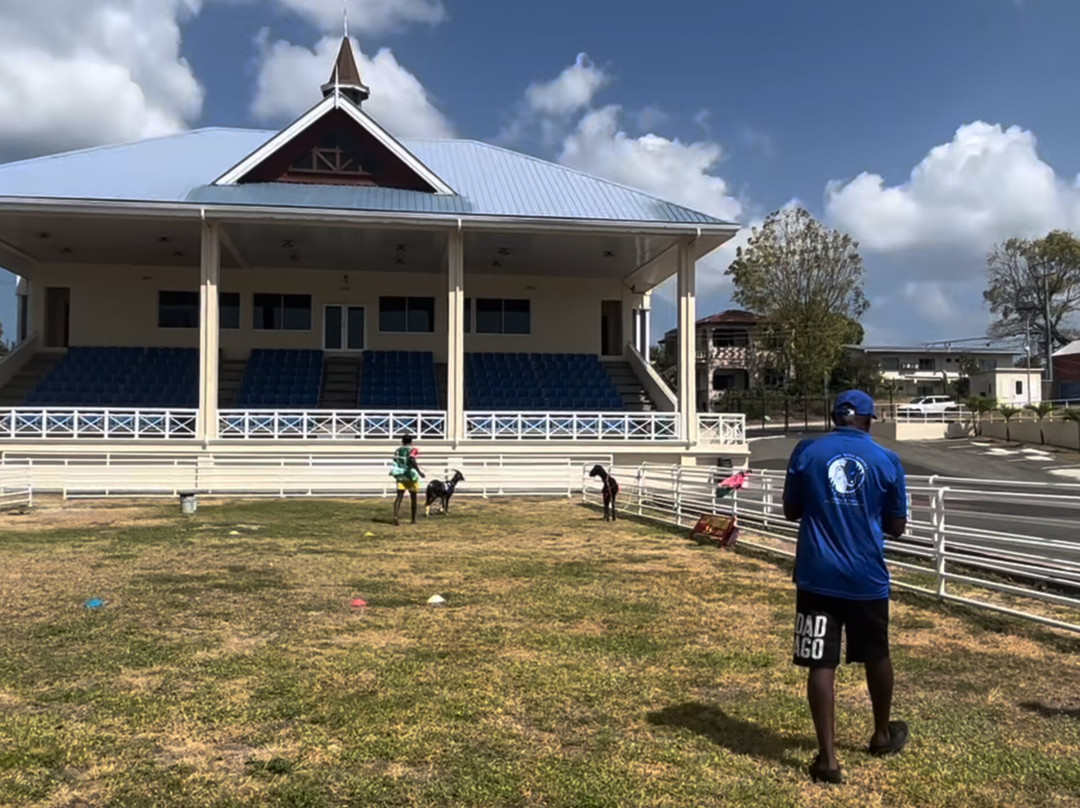 Goat Race Stadium-Buccoo必去景点