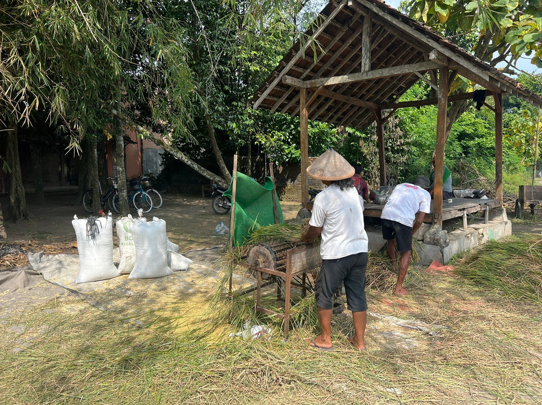 ViaVia Jogja Tour & Travel-Yogyakarta必去景点