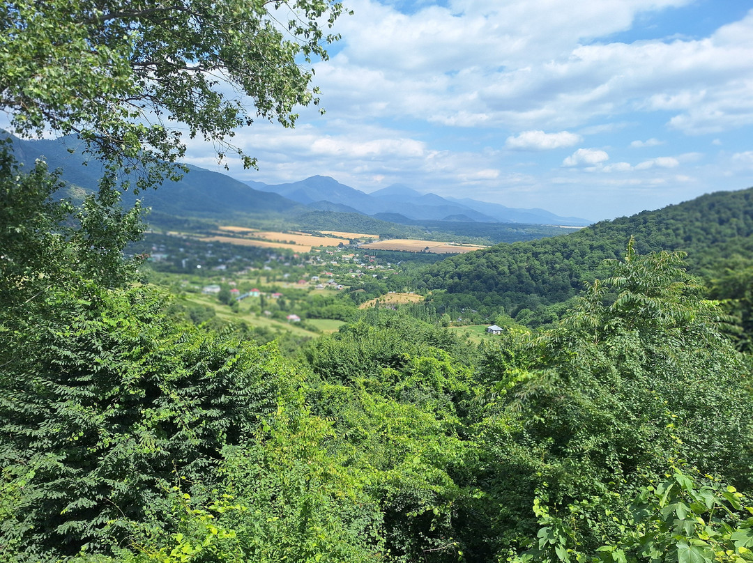 Manzara