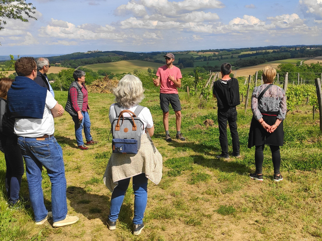 Le Vin ô Tour de Vous