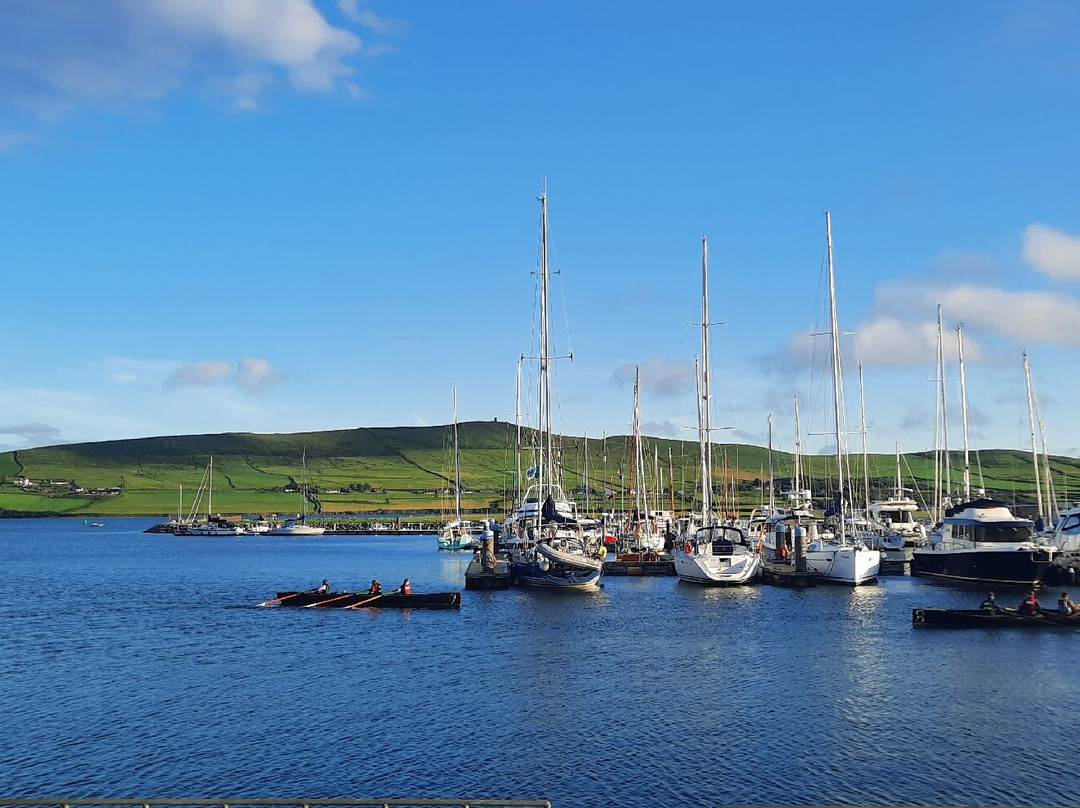 Dingle Marina-丁格尔必去景点