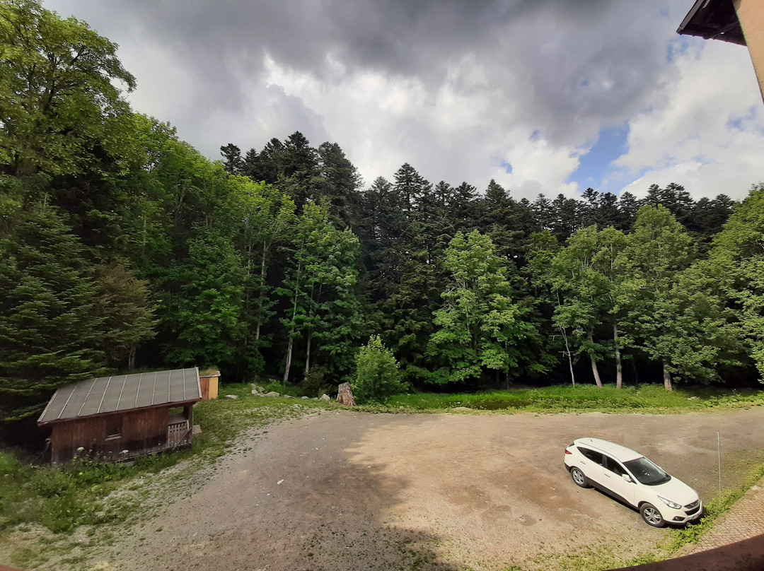 阿贝讬内皮拉米迪酒店主图