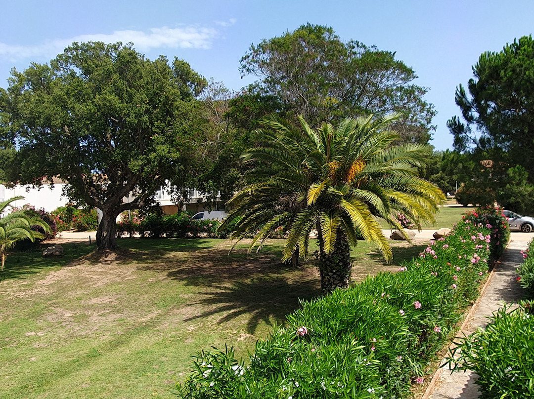 Plage de Cala Rossa-Lecci必去景点