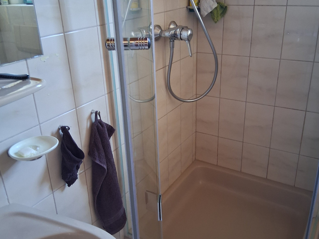 Hotel Birkenhof am See主图