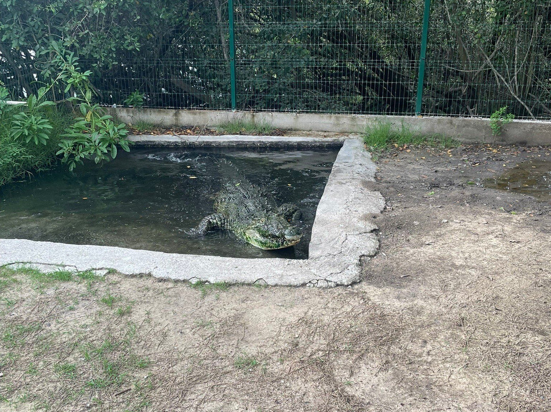 Santuario de Cocodrilos El Cora-Bucerias必去景点