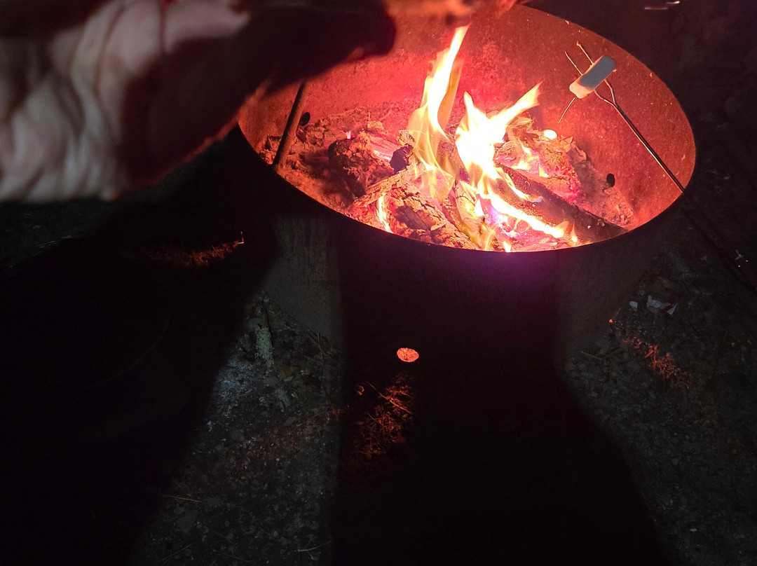 Lamoine State Park-Lamoine必去景点