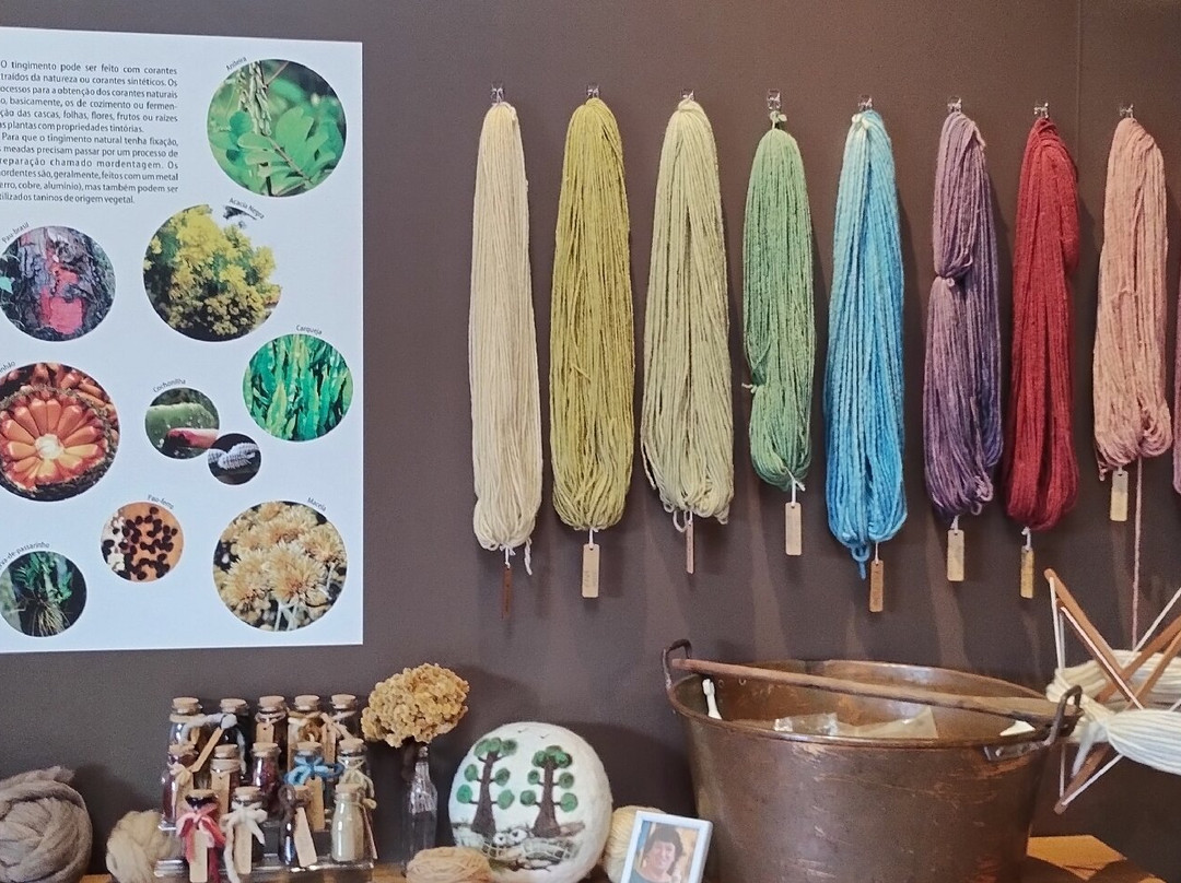 Parque da Lagoinha-坎普斯－杜若尔当必去景点