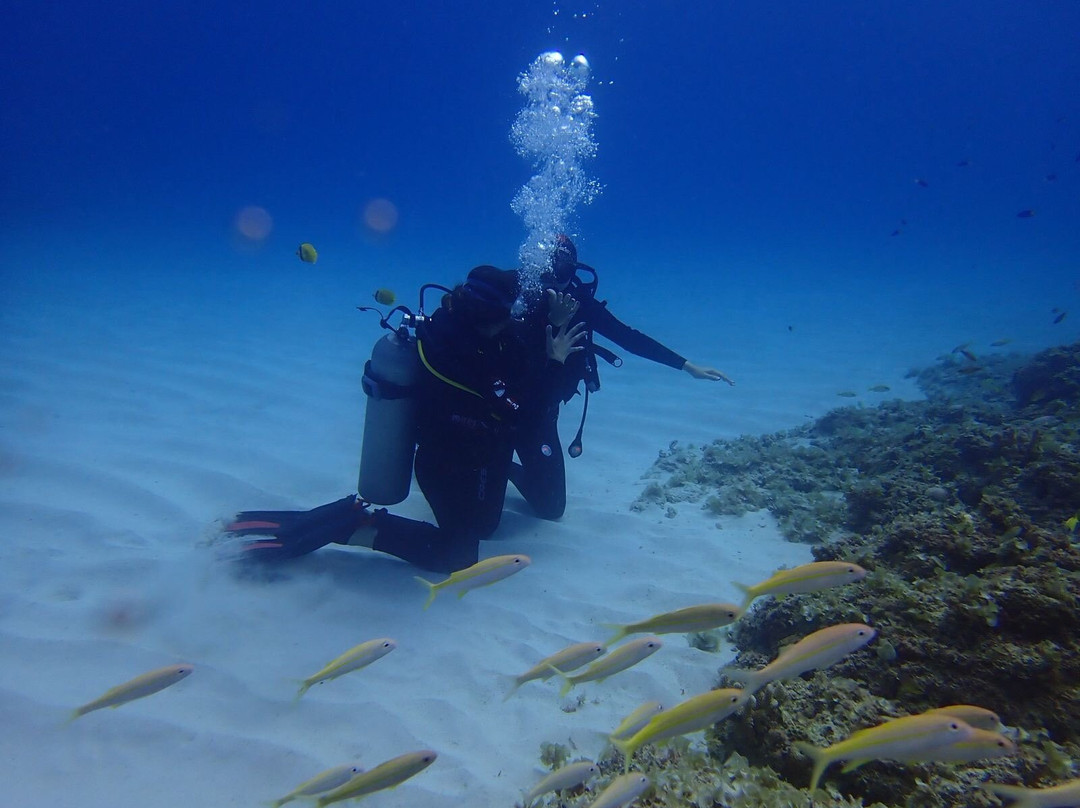 Just Diving-Bain Boeuf必去景点