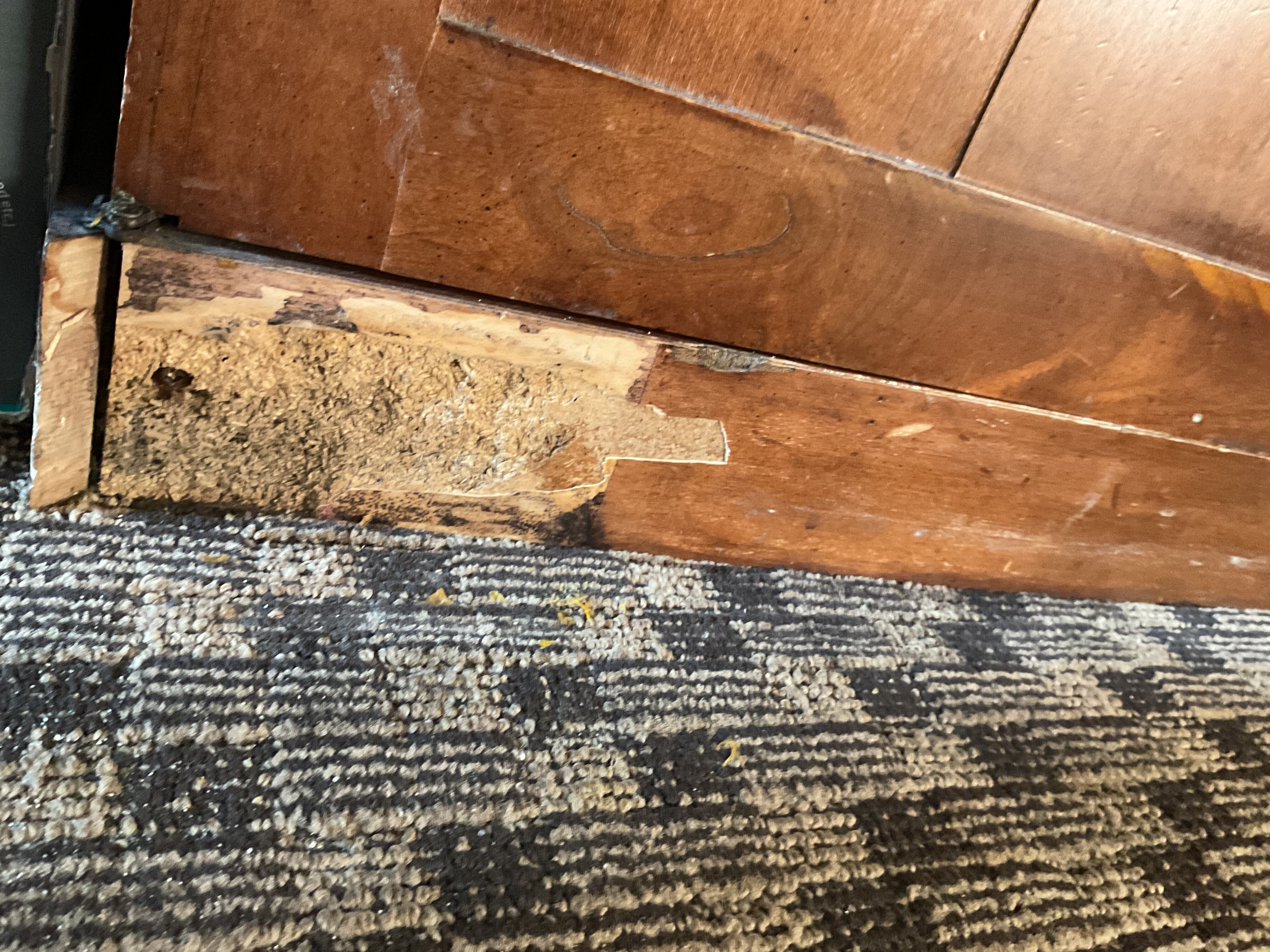 Rodeway Inn Watsonville-浴室