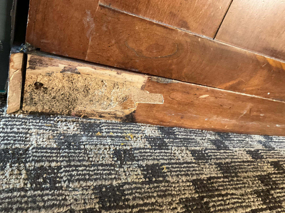 Rodeway Inn Watsonville主图