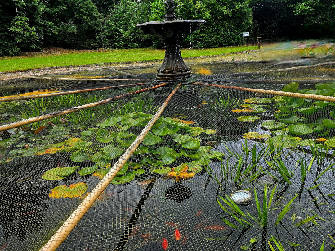 Langley Park Gardens-Montrose必去景点