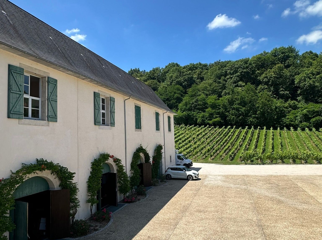 Domaine du Cinquau-Artiguelouve必去景点
