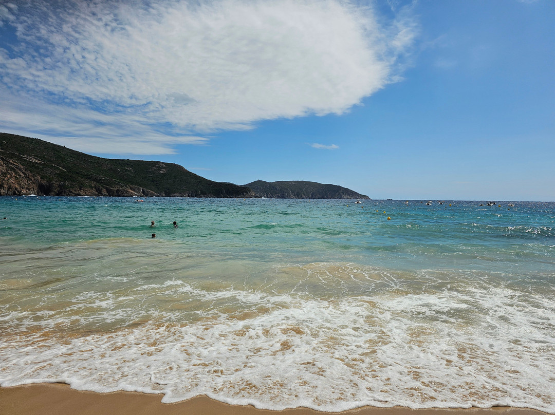 Plage d'Arone-Piana必去景点