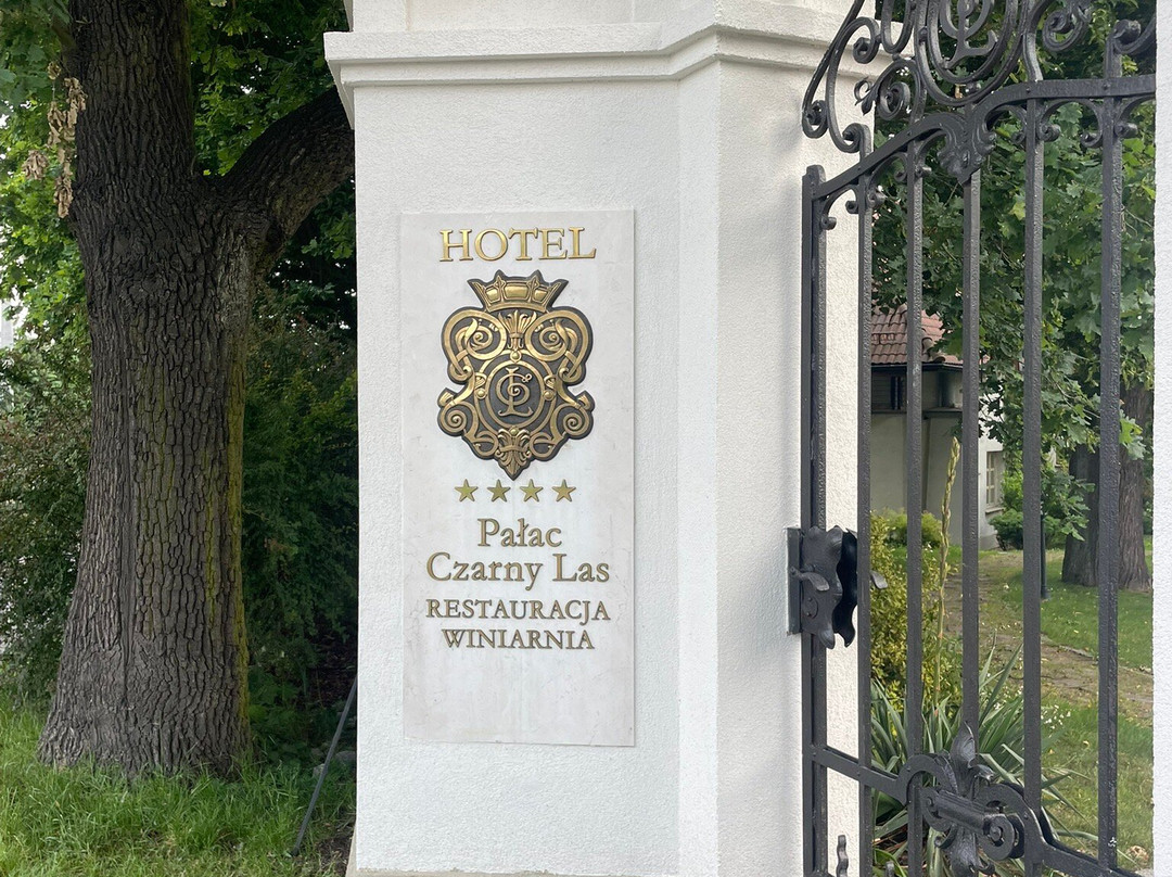Palac Czarny Las主图