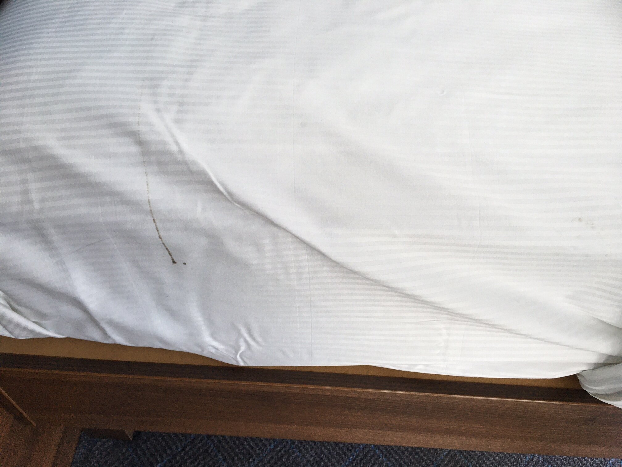 Hampton by Hilton Dundee City Center-官方