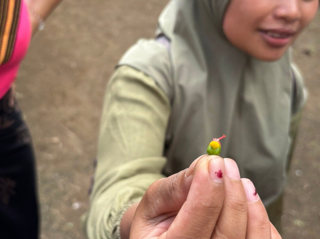 Rinjani Women Adventure-Senaru必去景点