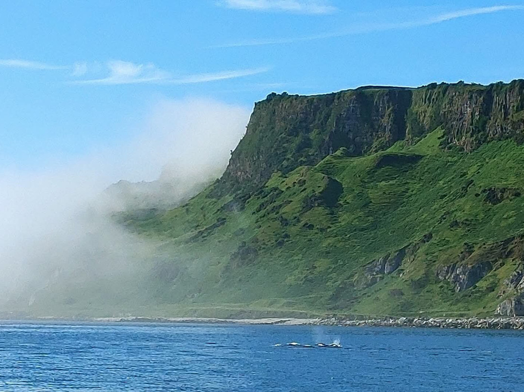Carnlough Bay Boat Tours-Carnlough必去景点