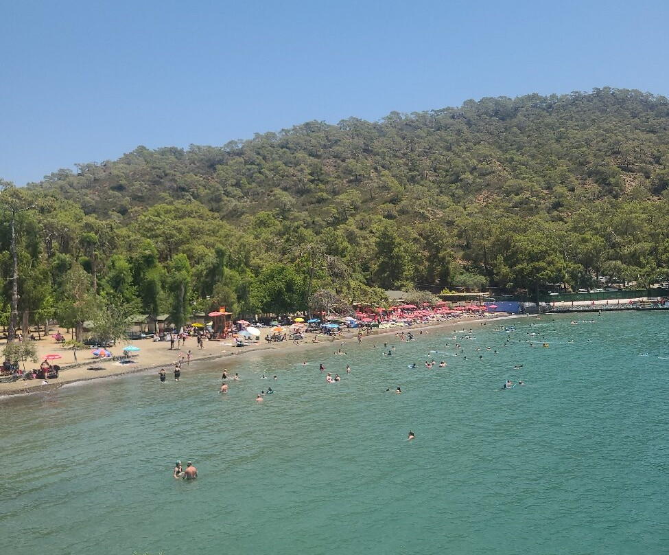 Katrancı Bay Nature Park-Yaniklar必去景点